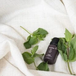 Spearmint Eteerinen Öljy 8 Spearmint Eteerinen Öljy -Lastenhuoneen sisustus volant spearmint 2