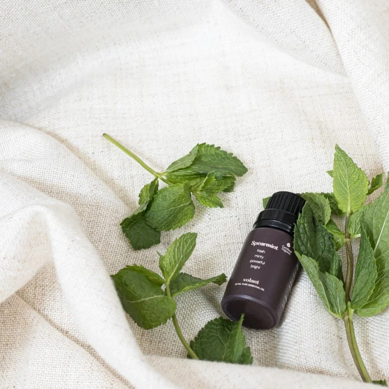 Spearmint Eteerinen Öljy 5 Spearmint Eteerinen Öljy - Image 3